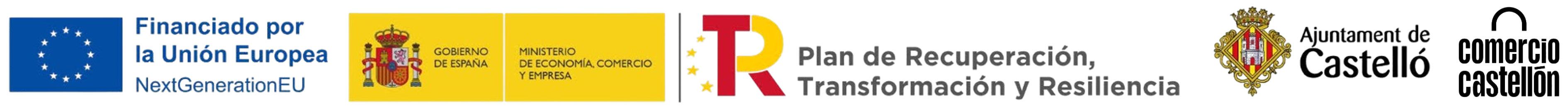 Ayuntamiento de Castellón